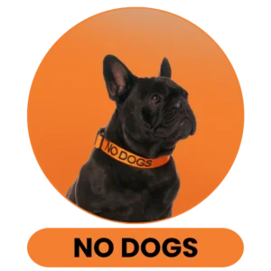 No Dogs Lead and Collar