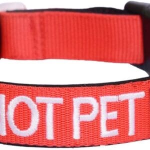 Do Not Pet Lead, Collar and Harness