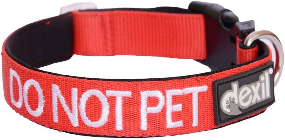 Do Not Pet Lead, Collar and Harness
