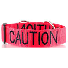 Caution Lead and Collar